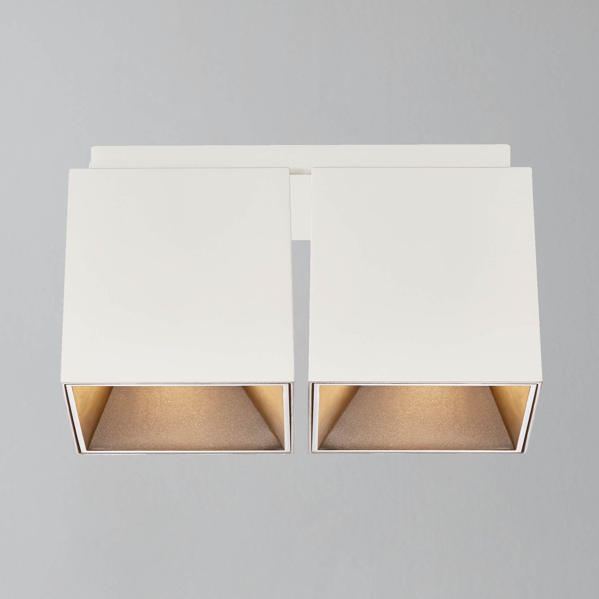 Ethan Square 2 Spot Surface Mount Downlight, White