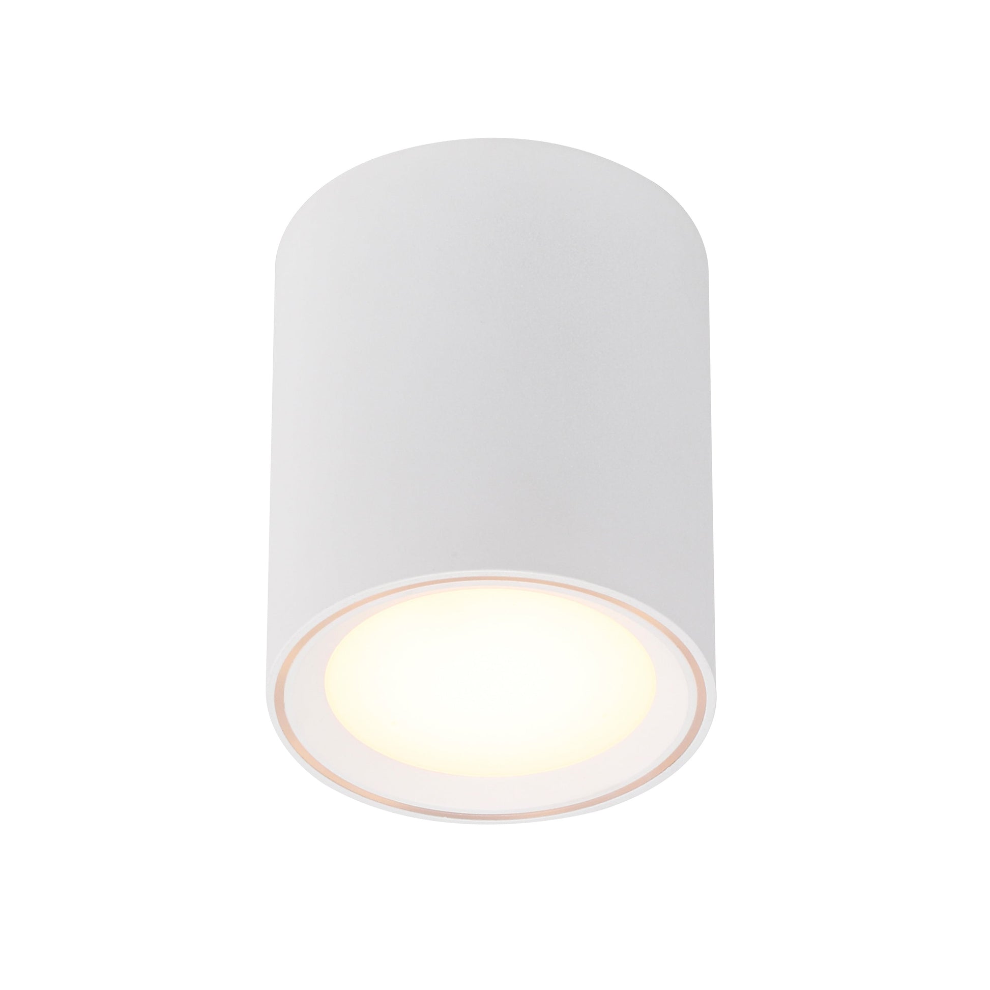 Fallon Long LED Downlight