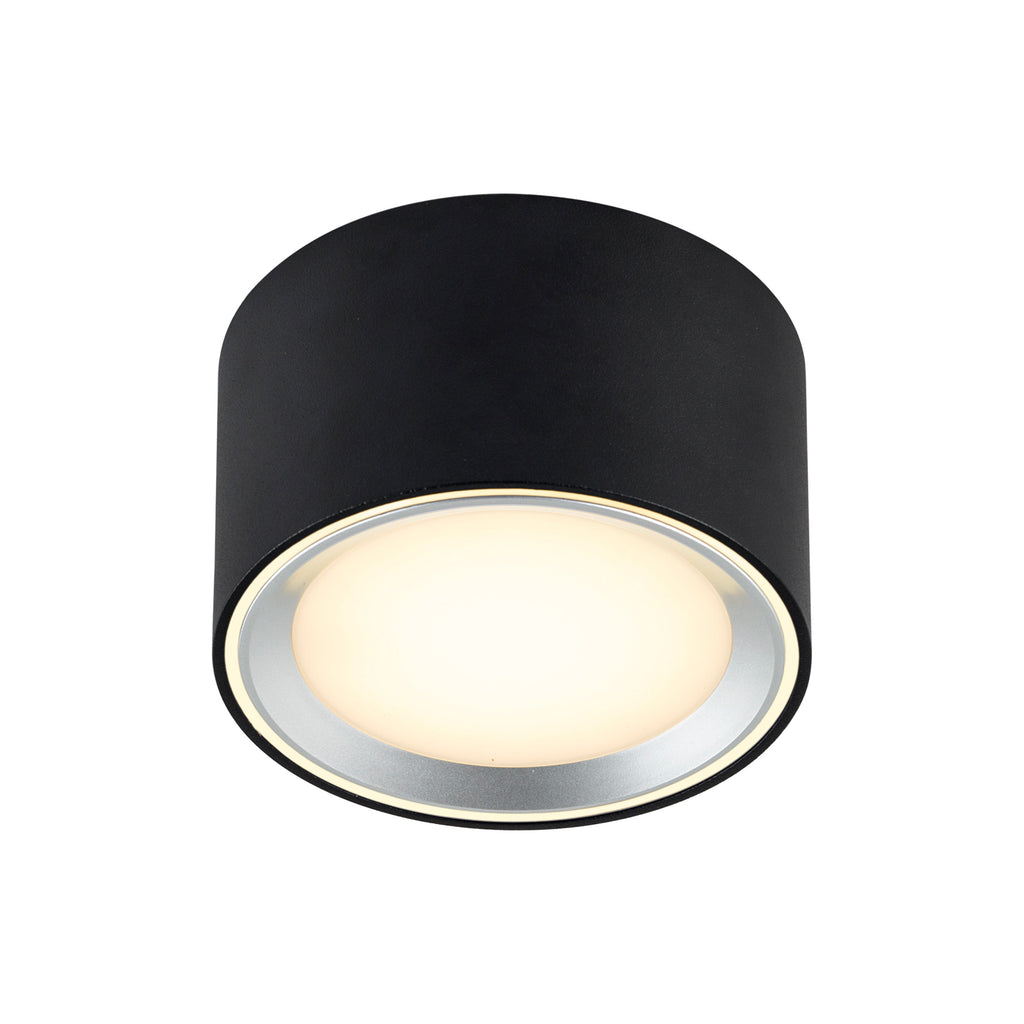 Fallon LED Downlight