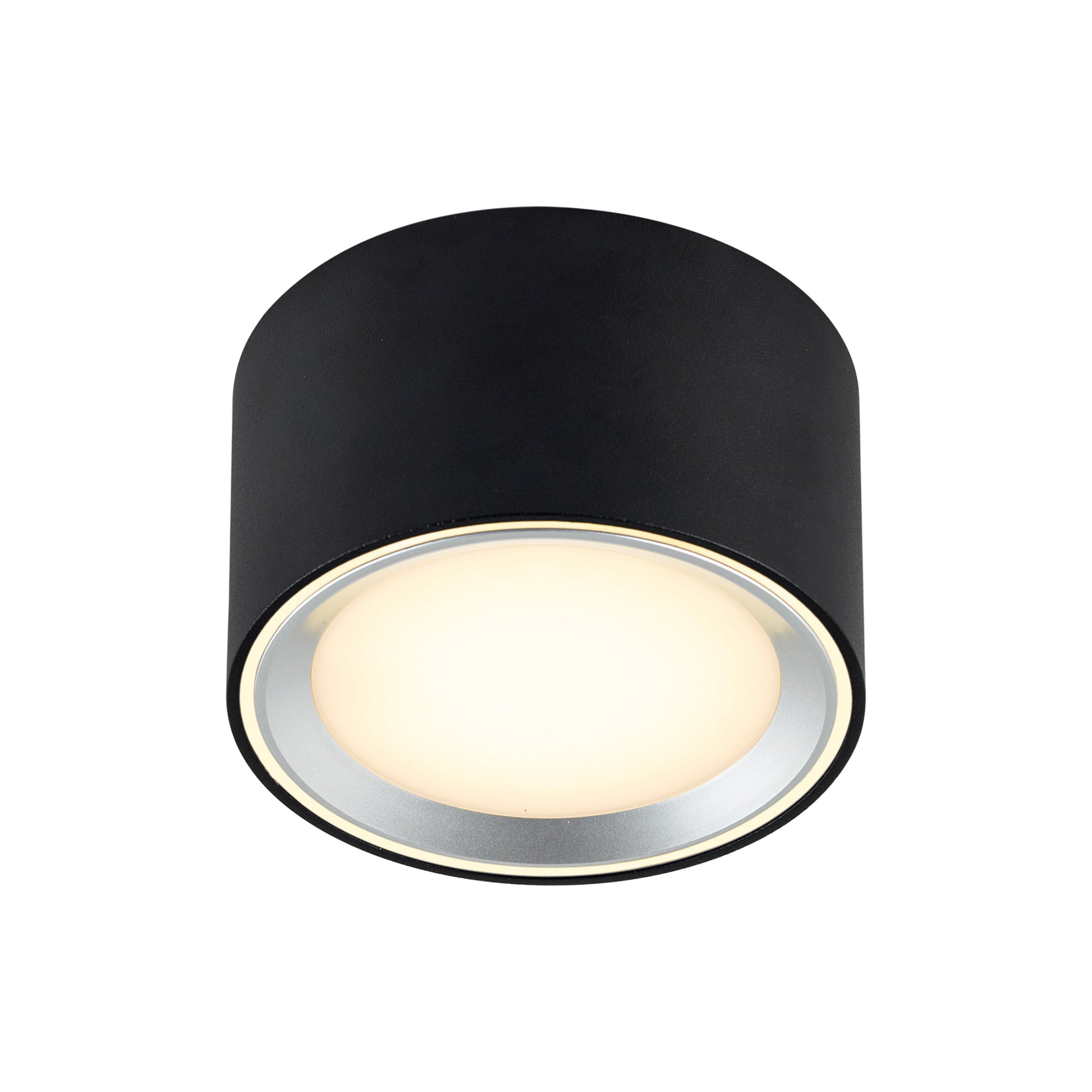 Fallon LED Downlight