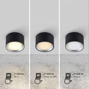 Fallon LED Surface Downlight