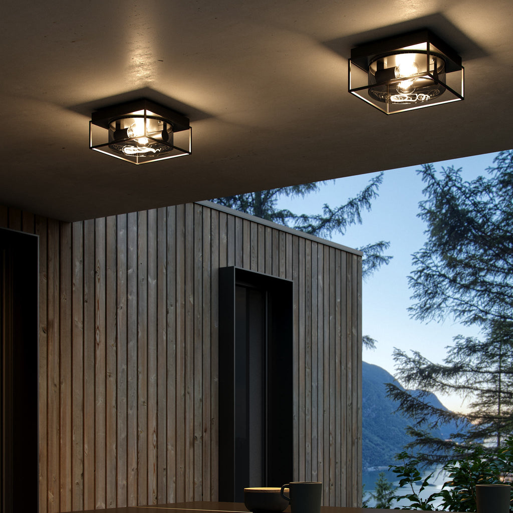 Griffin Ceiling Light, Black/Smoke