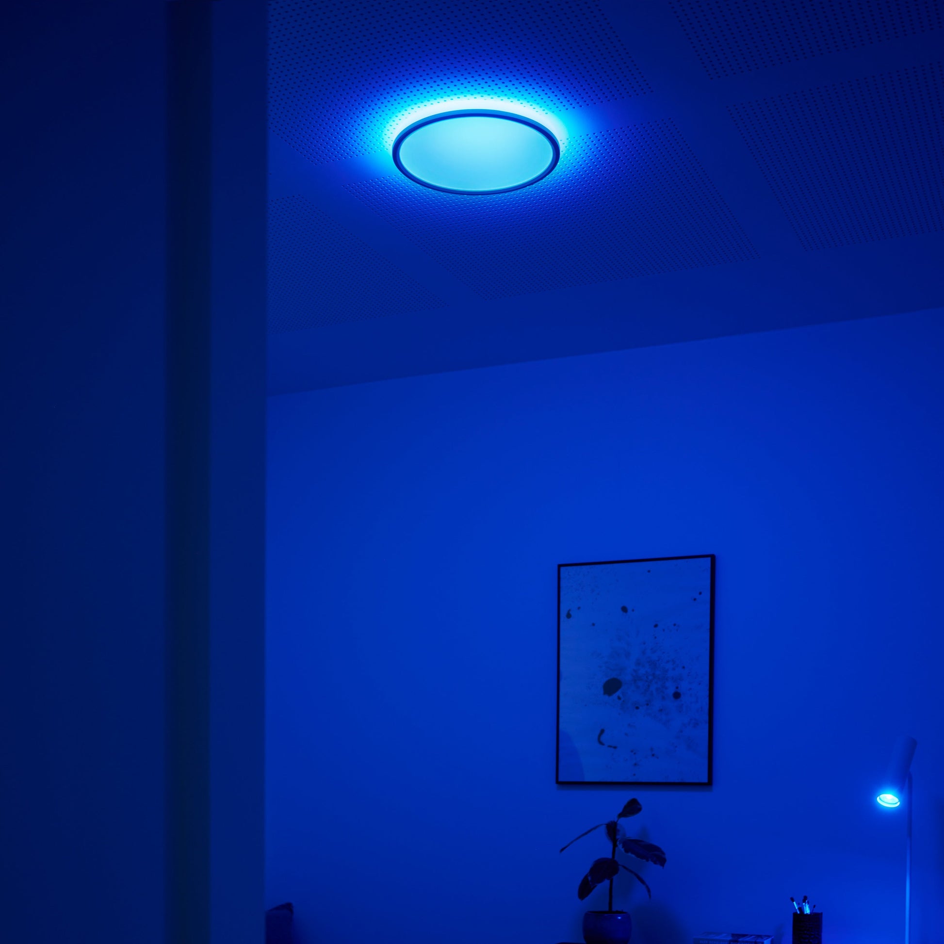 Liva Smart RGB Colour Ceiling Light