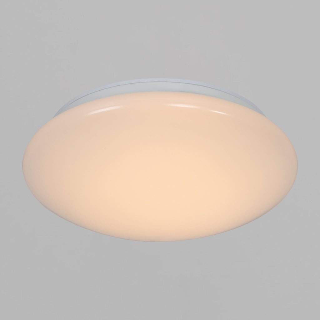 Montone 25 LED Ceiling Light