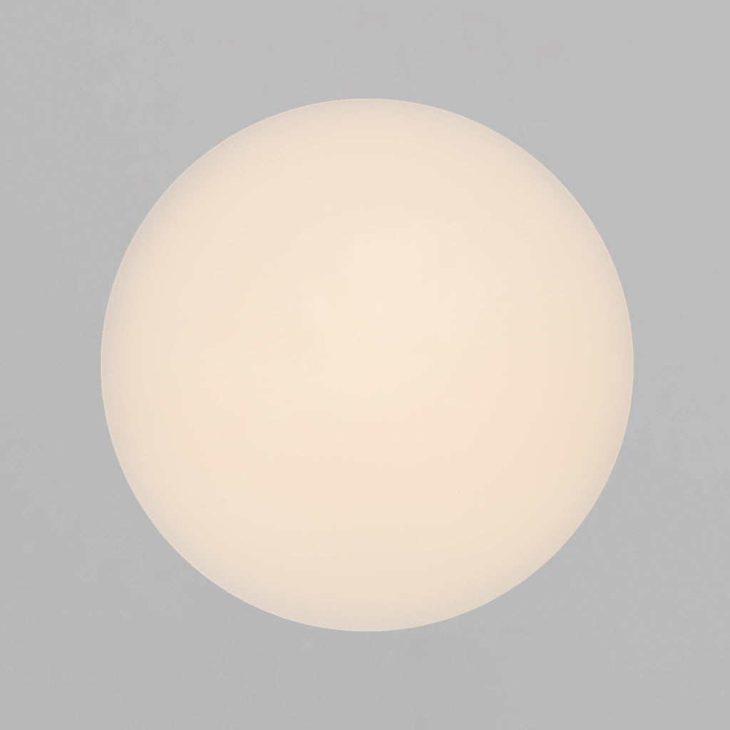 Montone 25 LED Ceiling Light