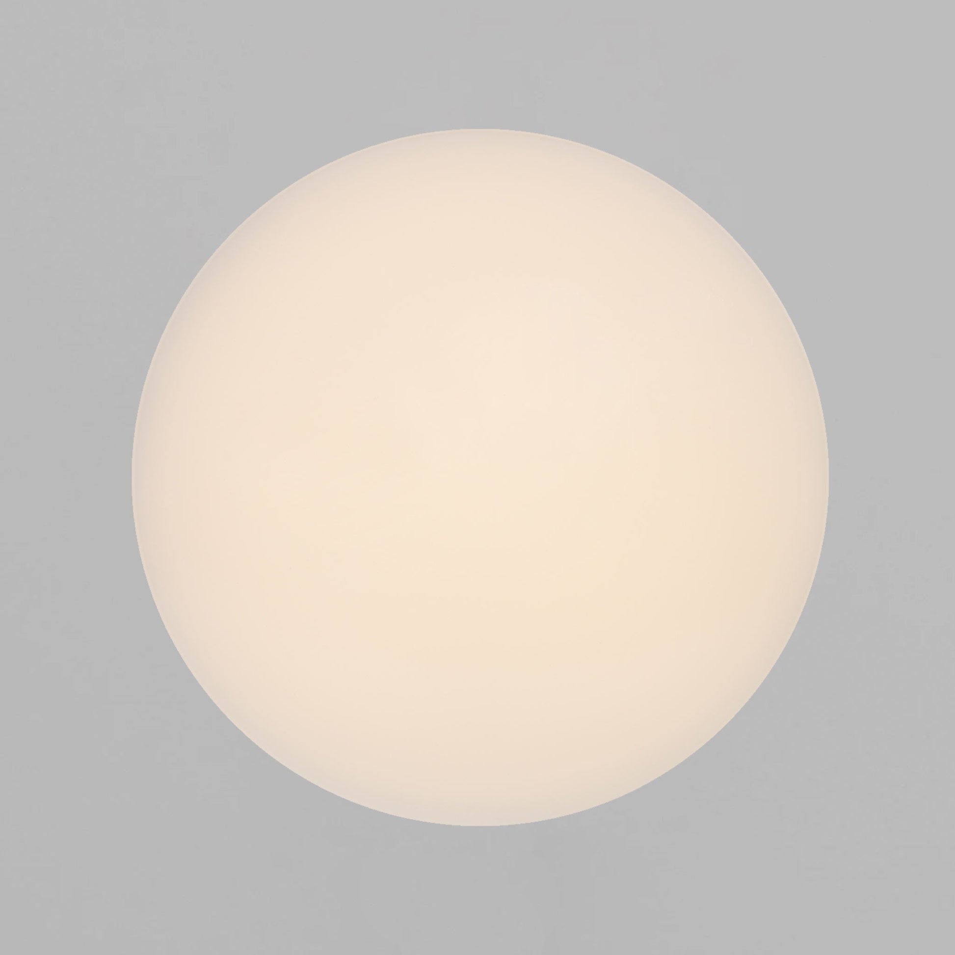 Montone 25 LED Ceiling Light