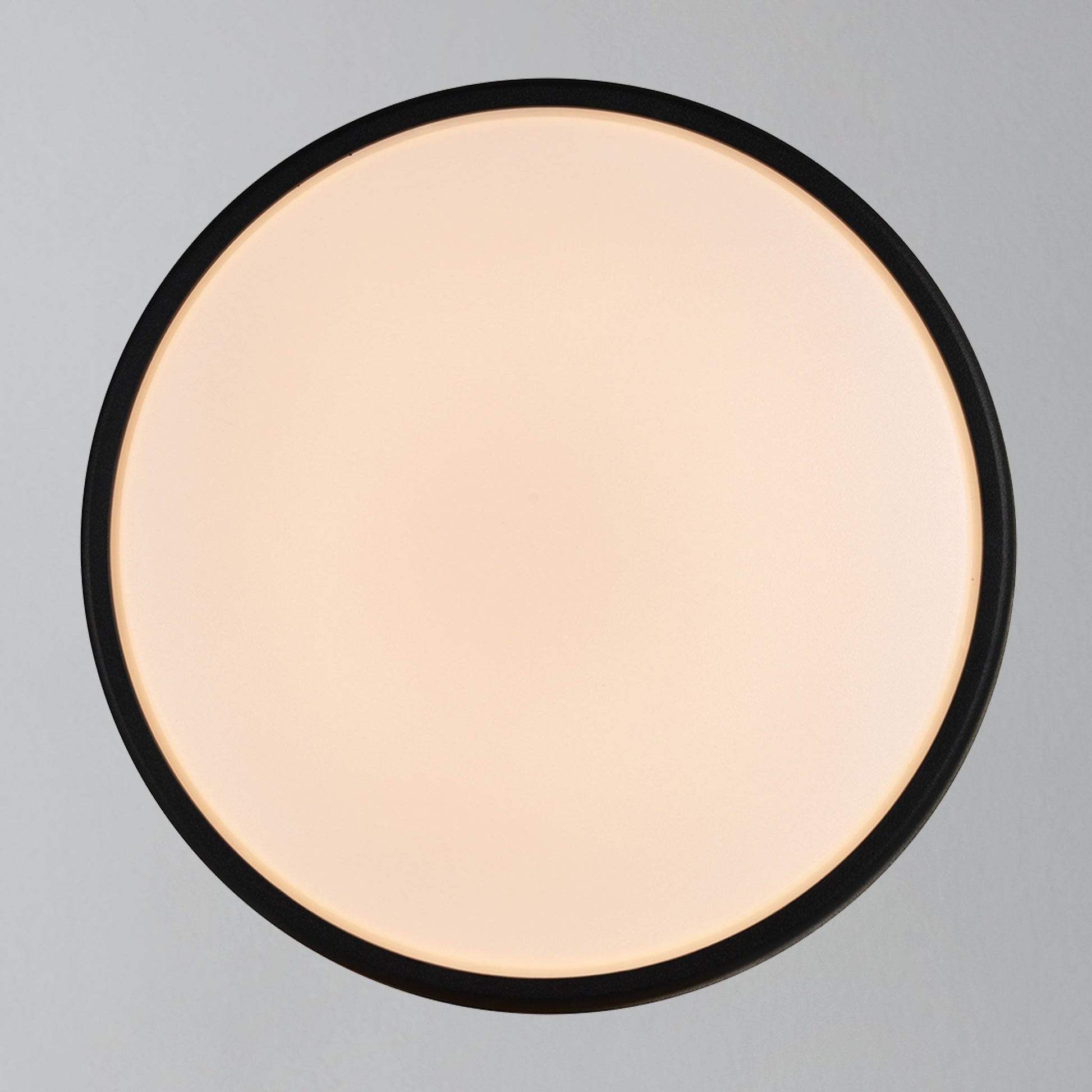 Oliver Round LED Outdoor Light, Black/Opal