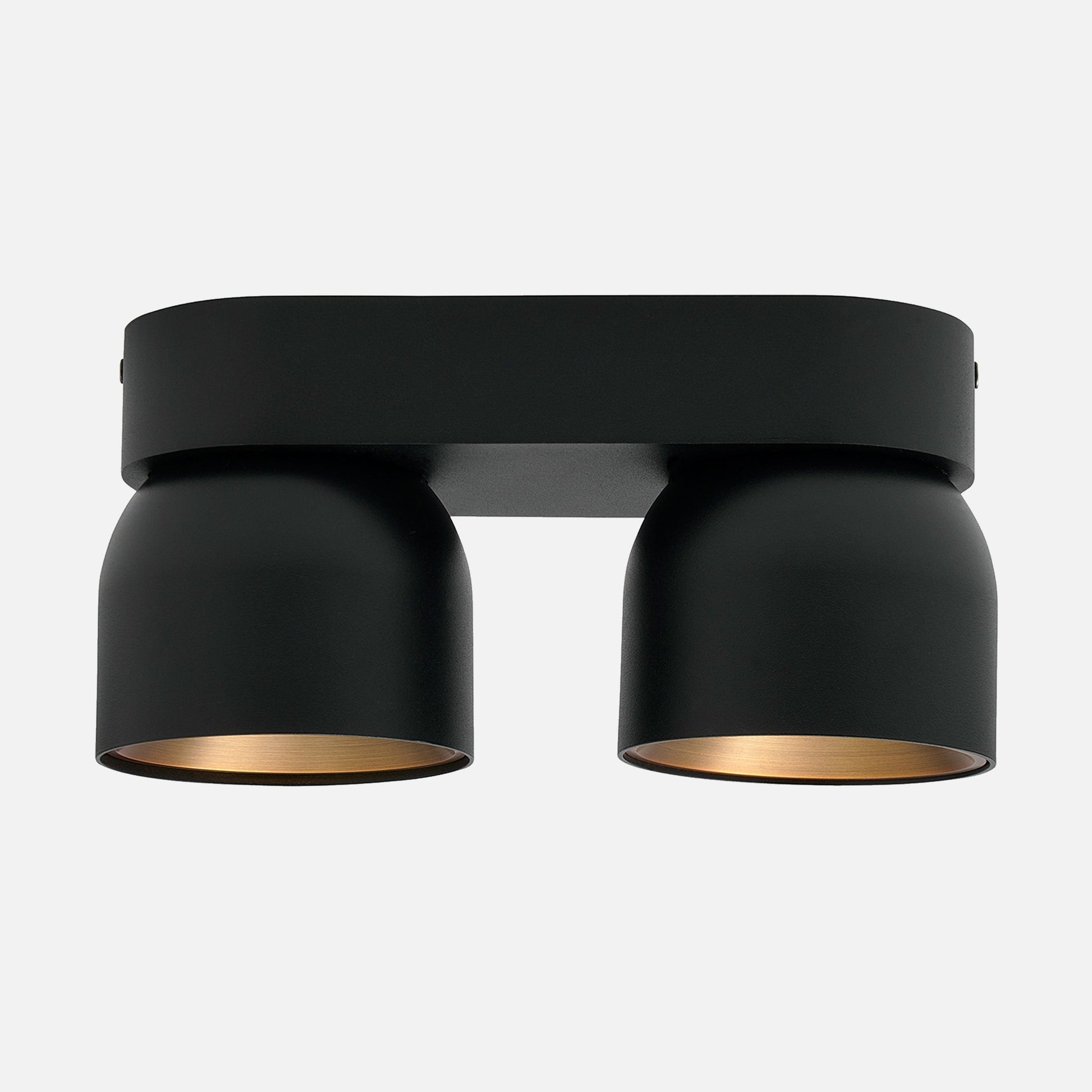 Pitcher 2 Spot Ceiling Light