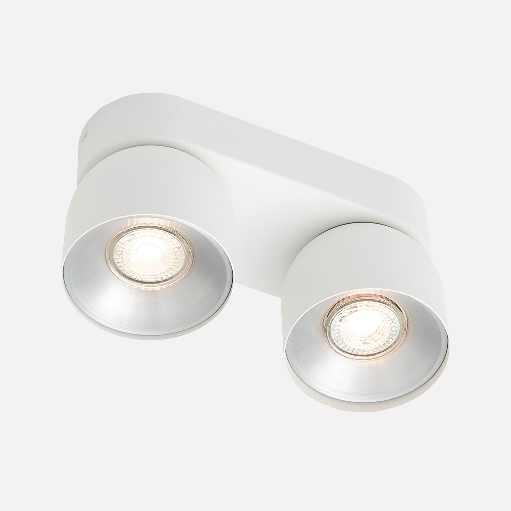 Pitcher 2 Spot Ceiling Light