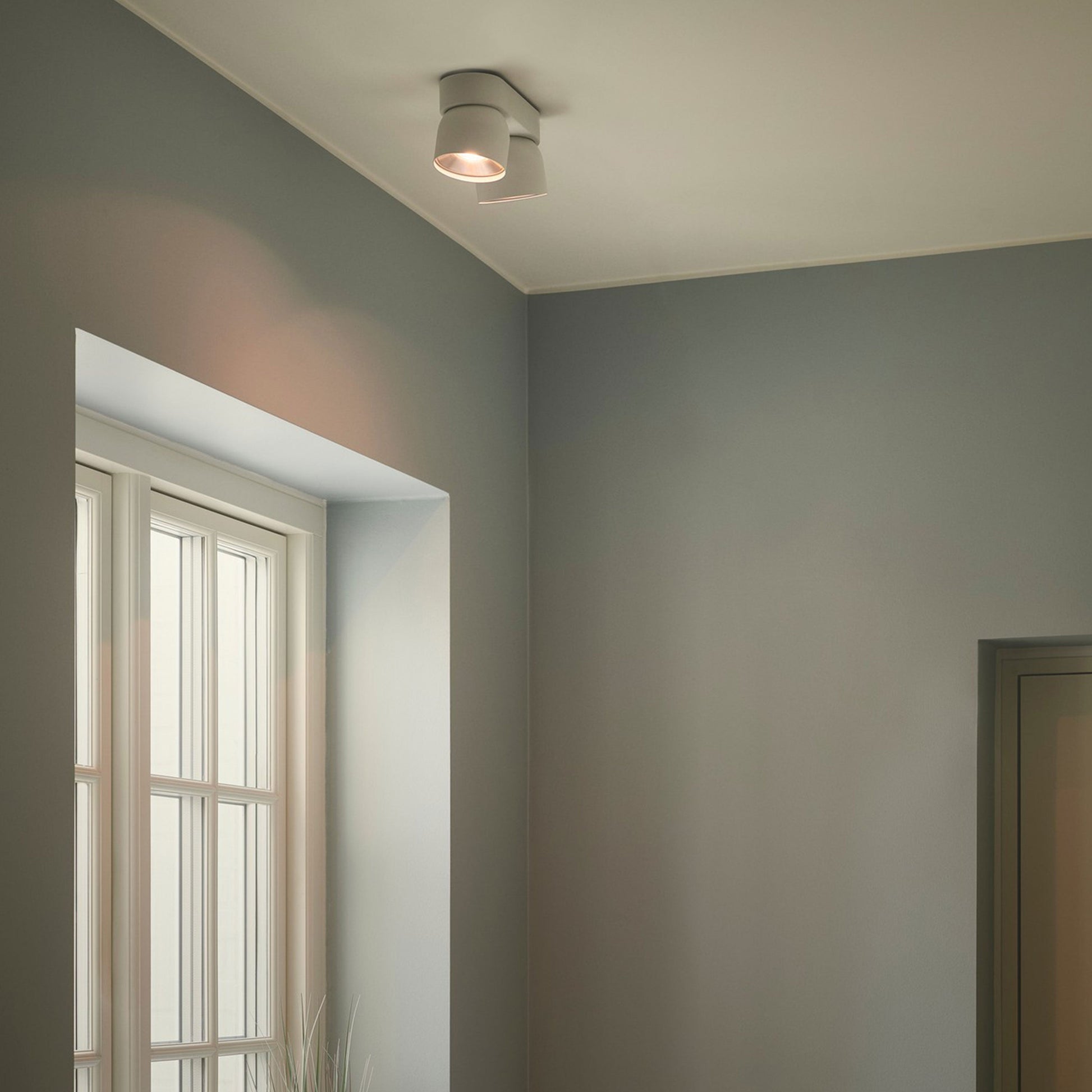 Pitcher 2 Spot Ceiling Light