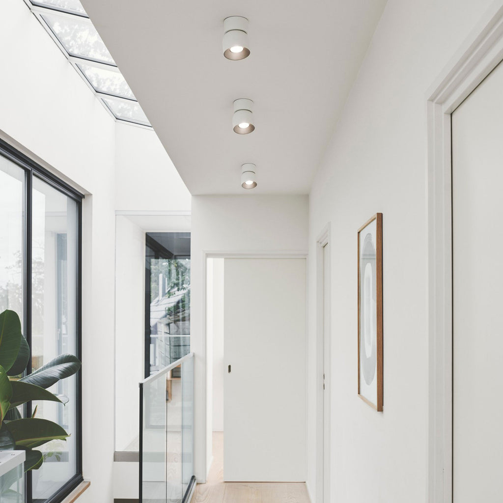 Pitcher Single Spot Ceiling Light