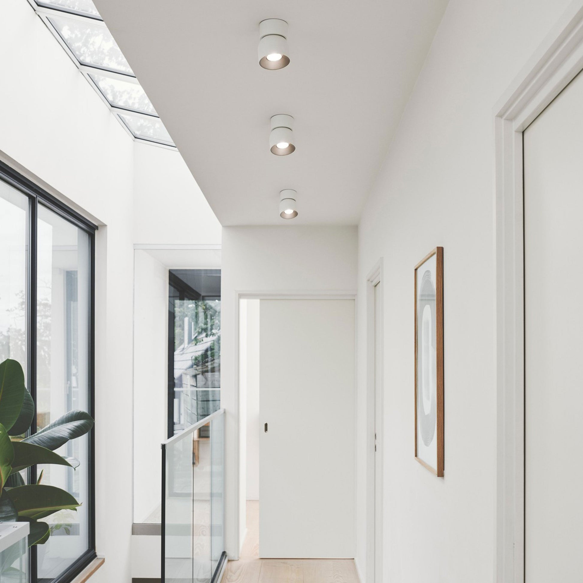 Pitcher Single Spot Ceiling Light