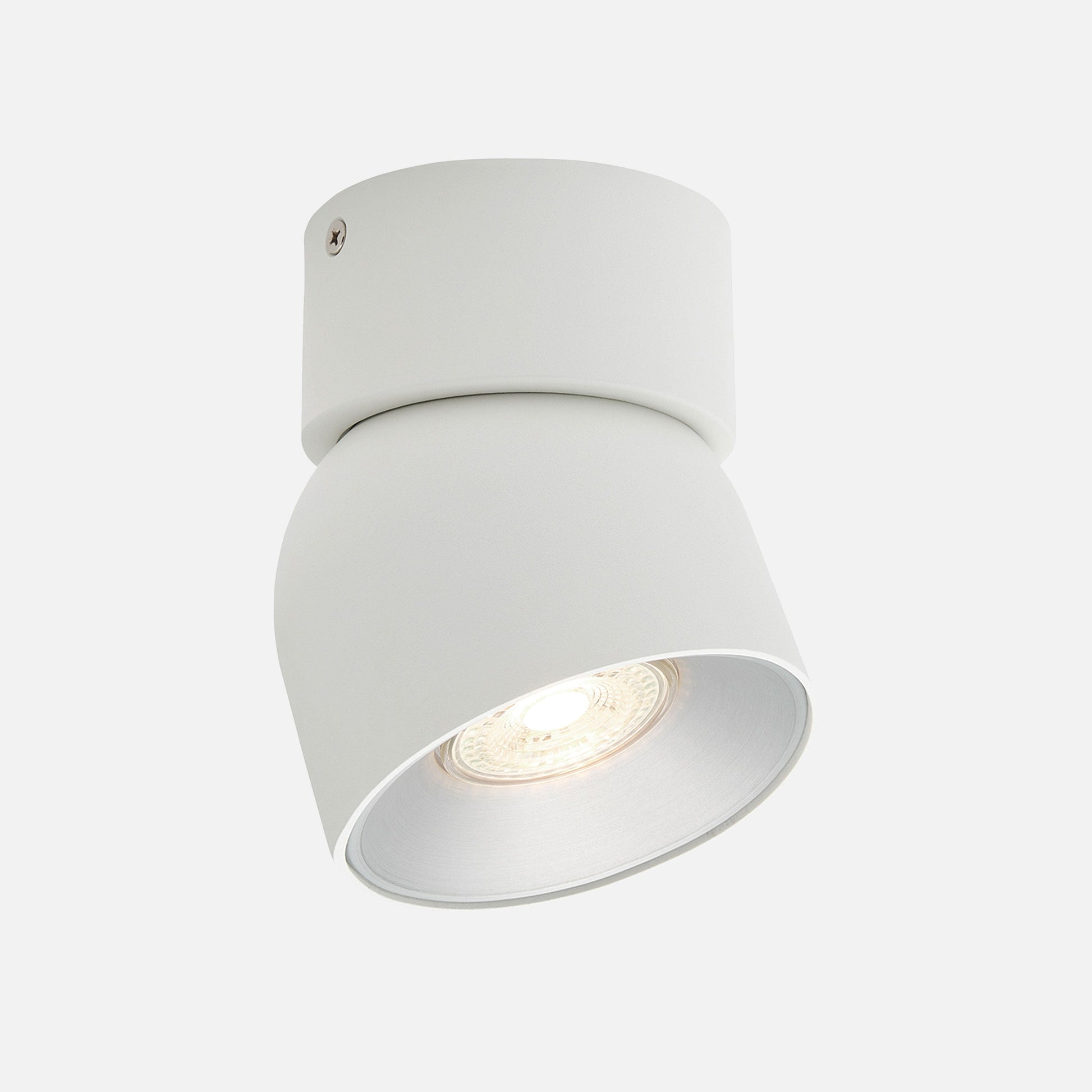 Pitcher Single Spot Ceiling Light